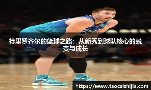 特里罗齐尔的篮球之路：从新秀到球队核心的蜕变与成长