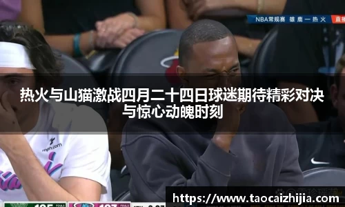 智博